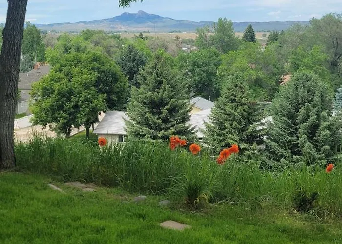 Mountain View *